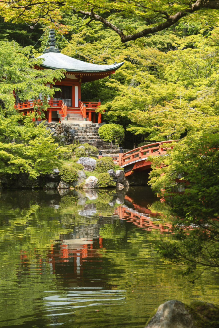 Bamboo, Gold & Gion